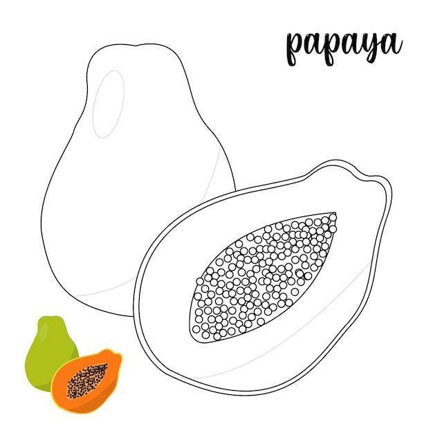 Premium vector coloring page for kids papaya coloring page