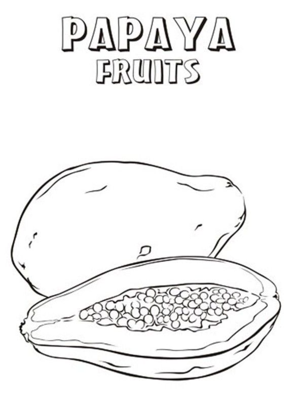 Papaya fruit coloring pages fruit coloring pages fruits drawing coloring pages