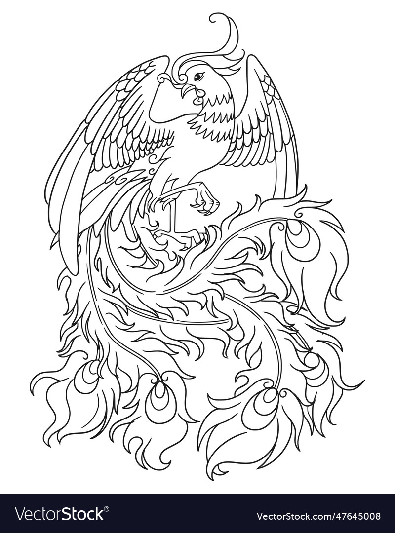 Line art of phoenix bird for coloring book page vector image