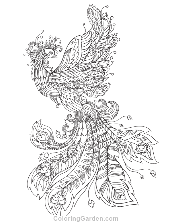 Phoenix adult coloring page