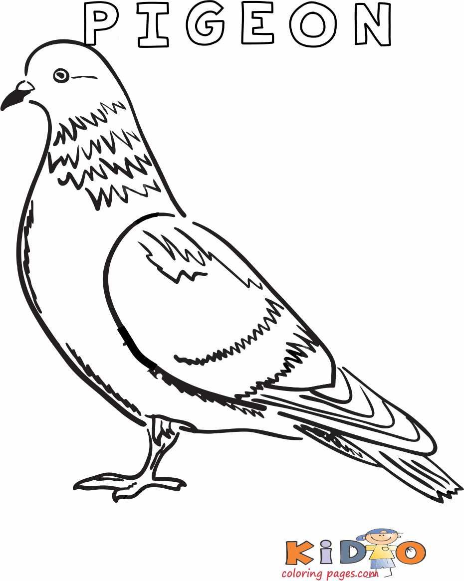 Pigeon colouring in page printable coloring pages bird coloring pages coloring pages for kids