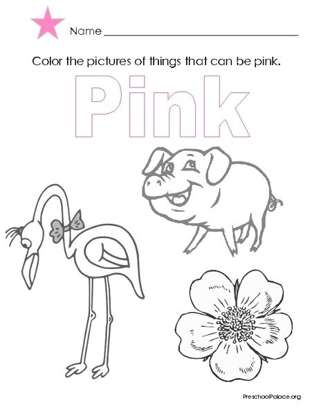 The color pink lesson plan color worksheets color worksheets for preschool preschool coloring pages