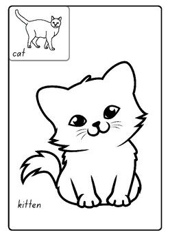 Printable cute baby animal coloring pages for kids baby animal coloring book