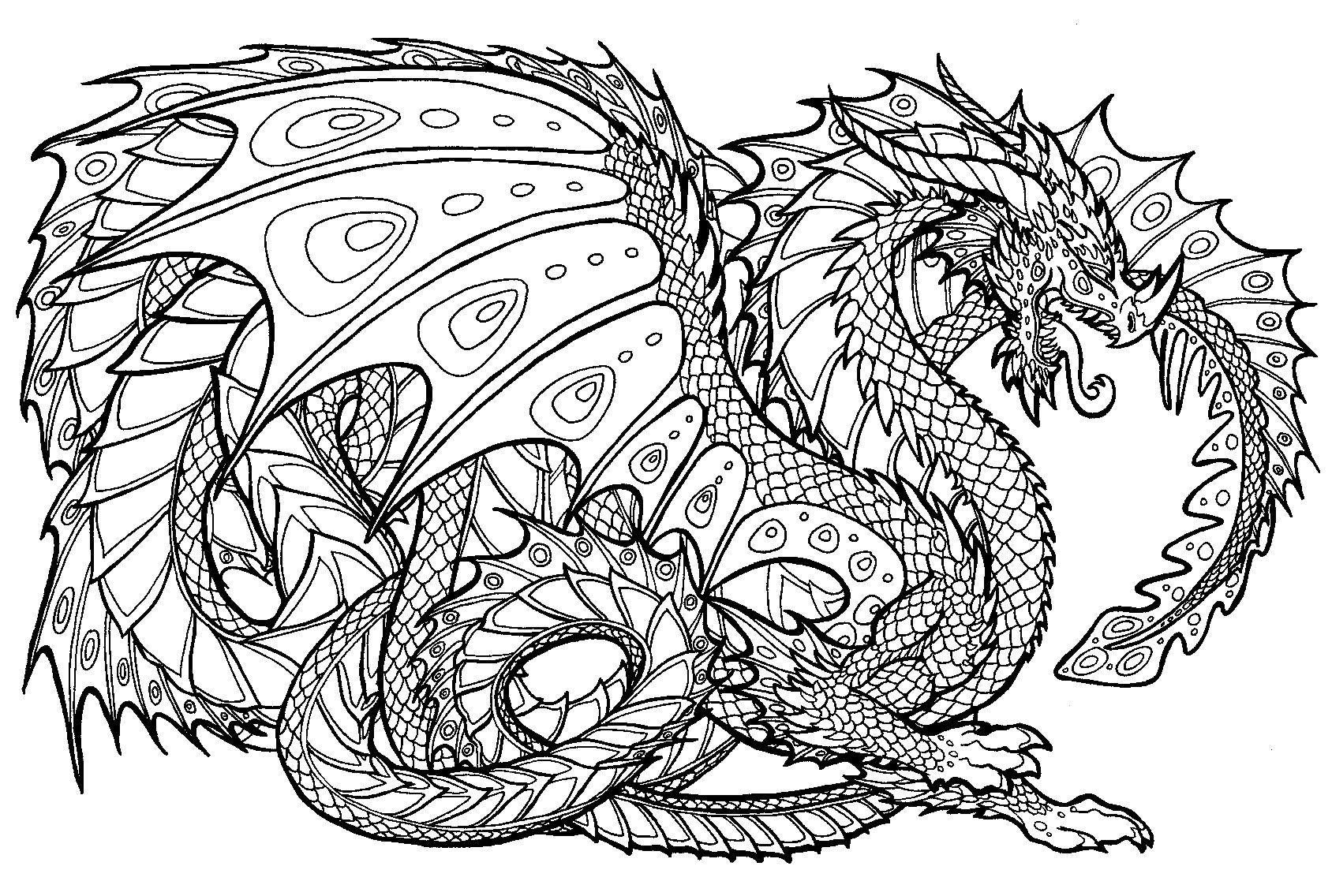 Dragon coloring pages for adults