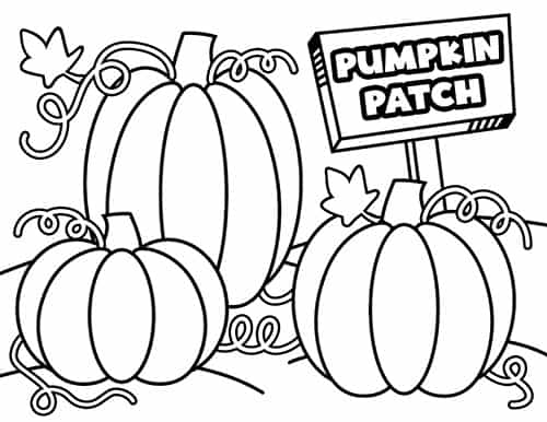 Pumpkin coloring pages