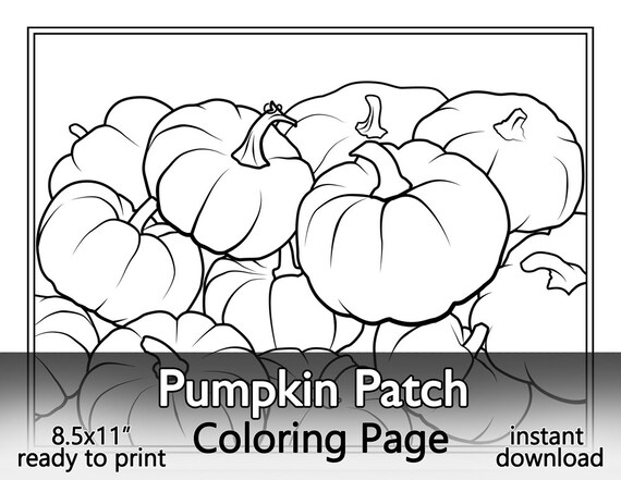 Pumpkin patch coloring page printable instant download standard x letter size autumn harvest gourd illustration fun for all ages