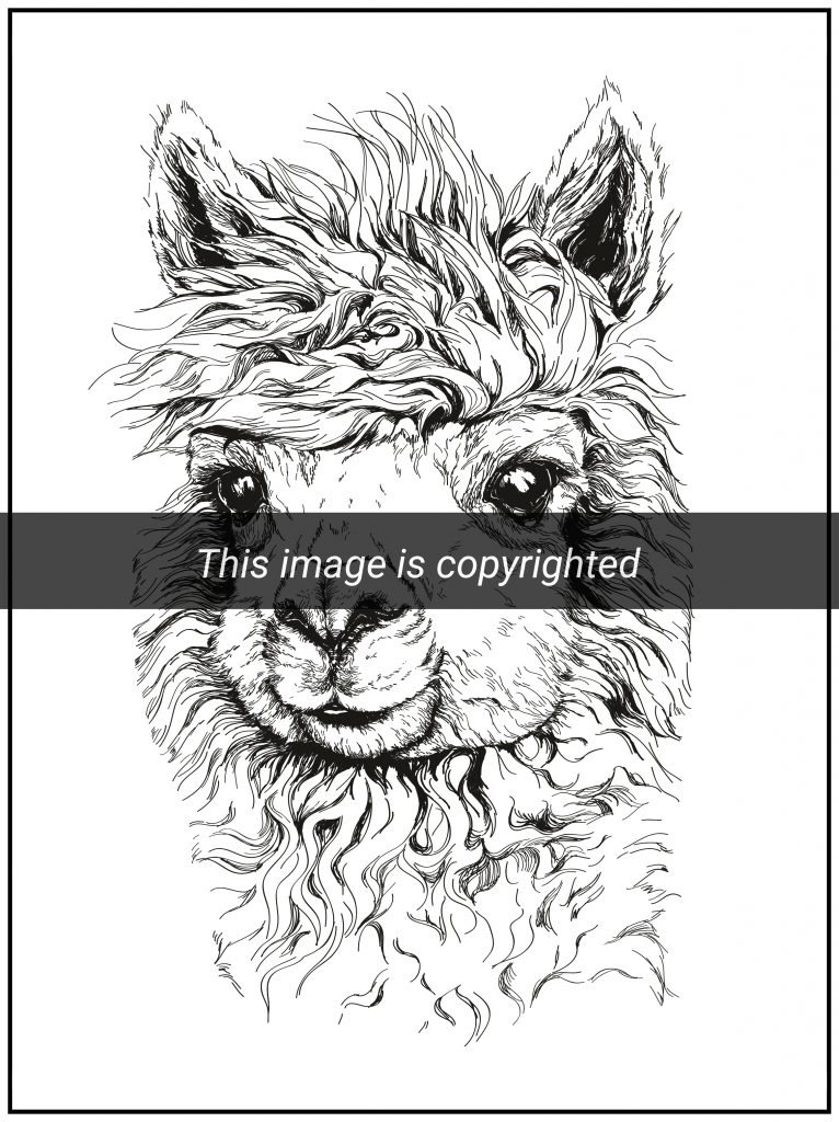 Realistic animals coloring book