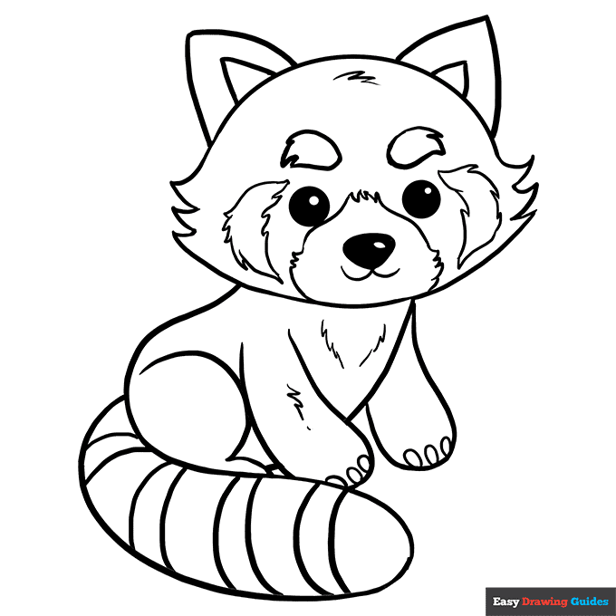 Red panda coloring page easy drawing guides