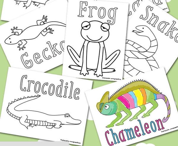 Discover reptiles coloring sheets