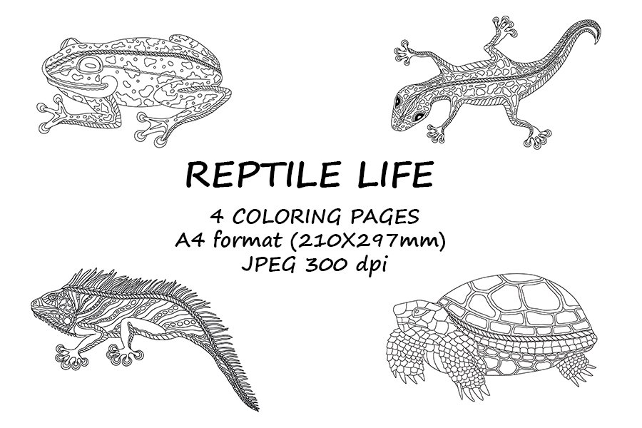 Reptile life coloring pages for kids activity