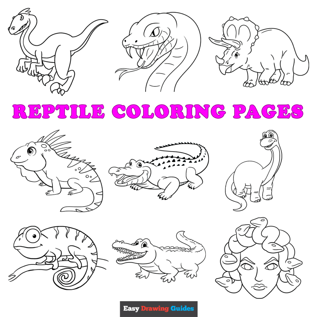 Free printable reptile coloring pages for kids