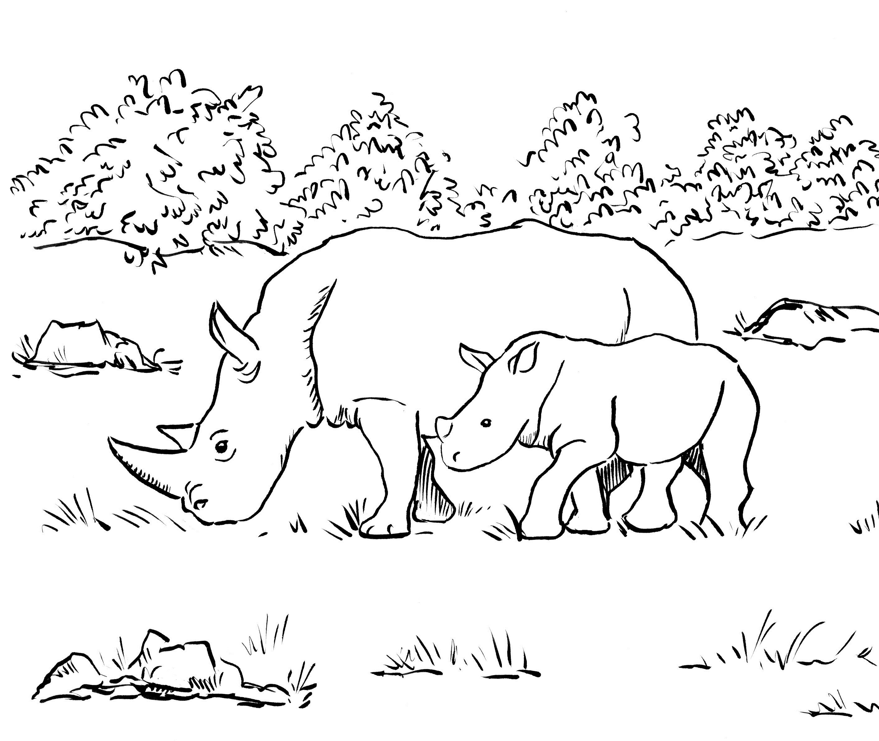 Rhino coloring page