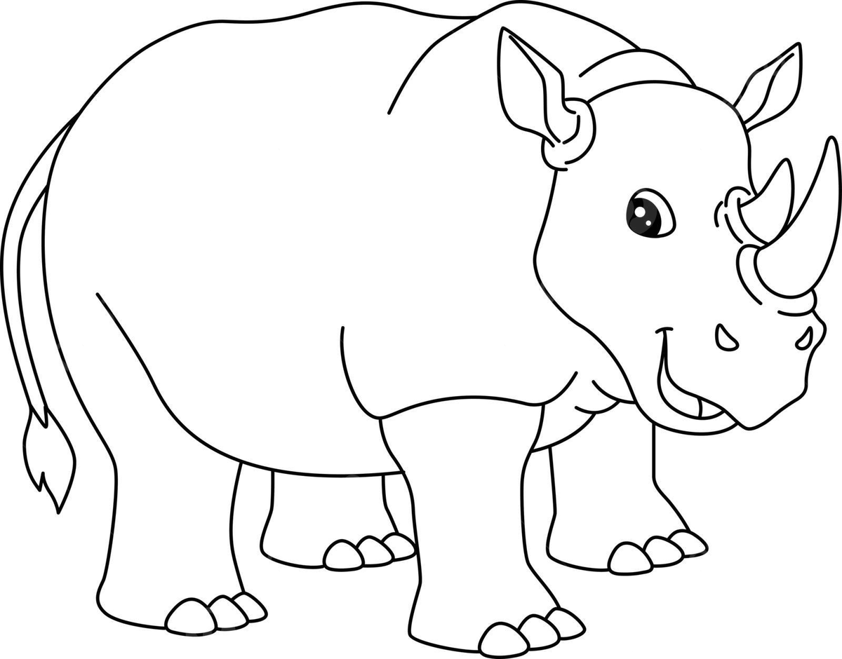 Rhinoceros coloring page isolated for kids cute illustration wildlife vector rat drawing ring drawing kid drawing png and vector with transparent background for free download