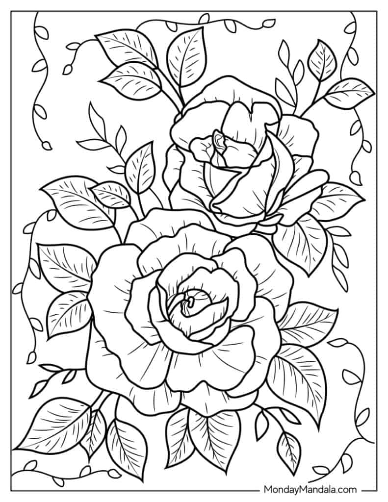 Rose coloring pages free pdf printables