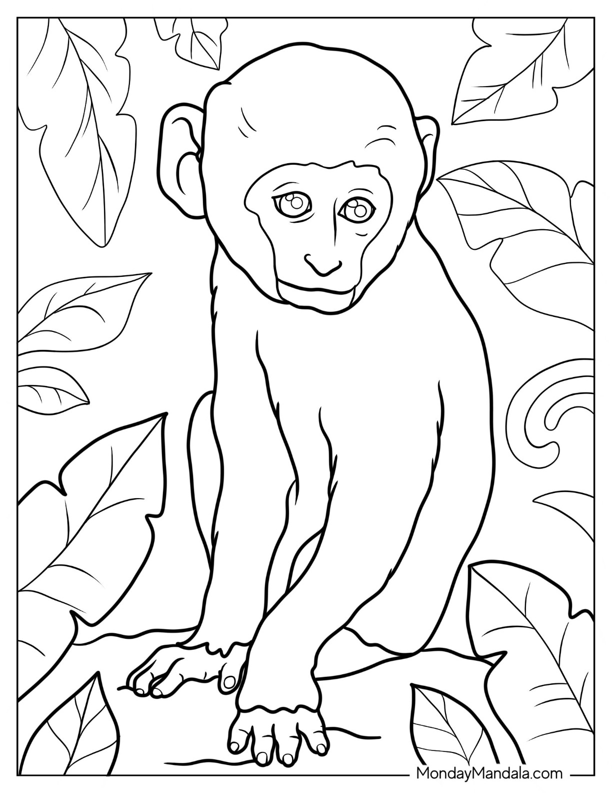 Monkey coloring pages free pdf printables