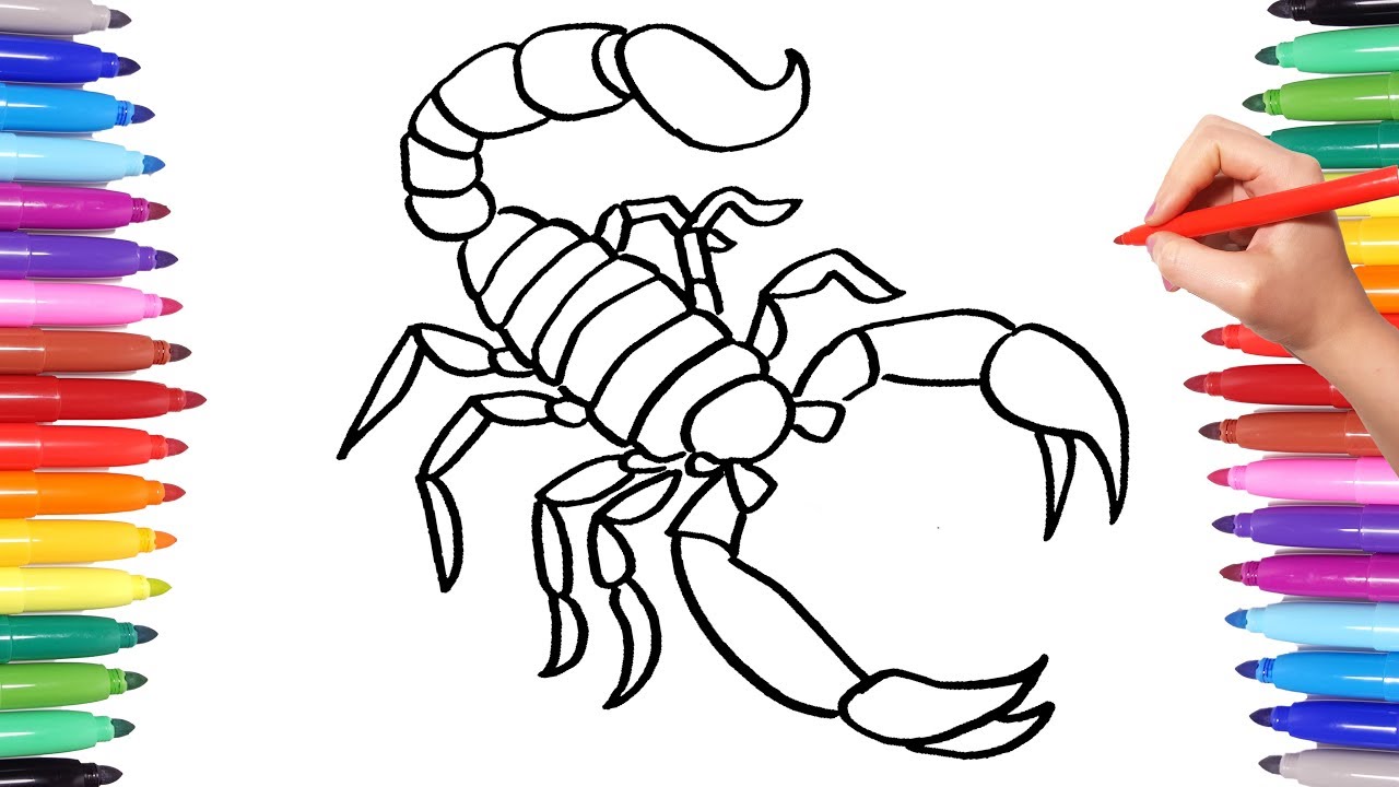 Colorful scorpion coloring pages animal coloring book for kids how to draw scorpion