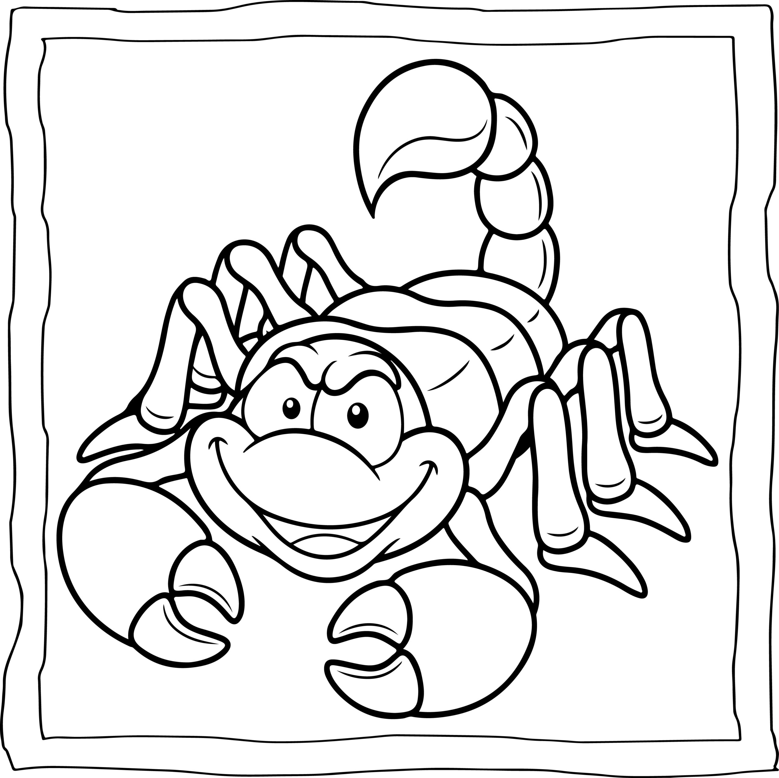 Scorpion coloring book easy and fun scorpions coloring pages for kids made by teachers