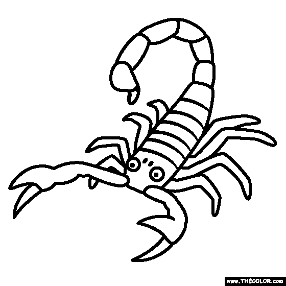 Scorpion coloring page