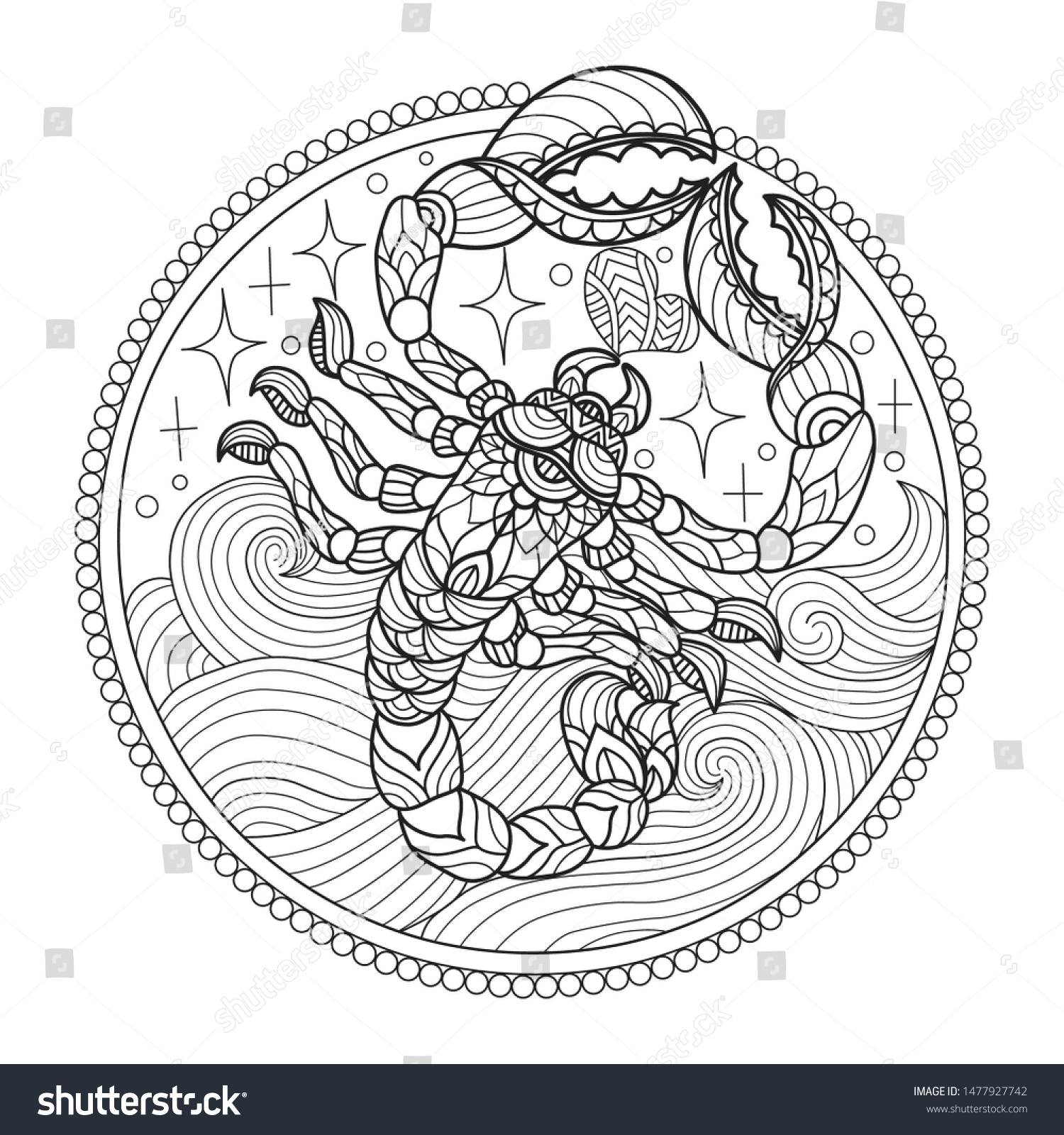Hand drawn sketch illustration scorpion adult stock vector royalty free