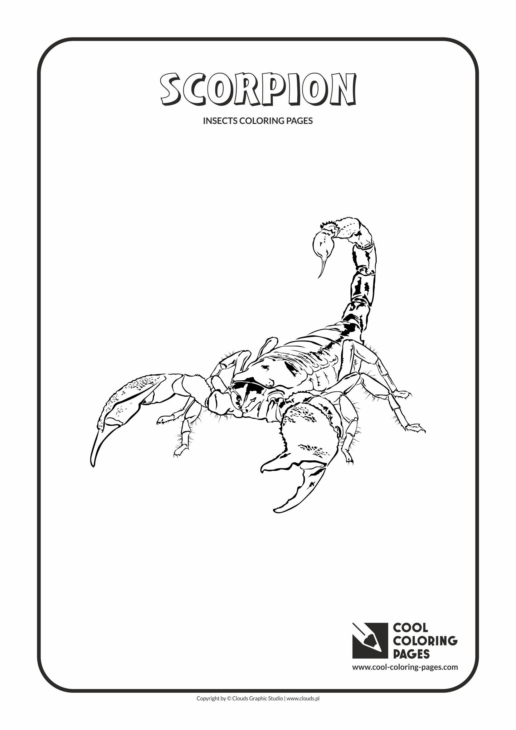 Cool coloring pages scorpion coloring page