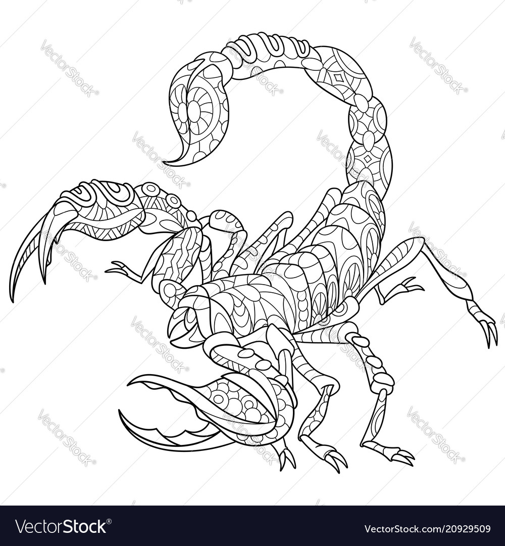Scorpion coloring page royalty free vector image
