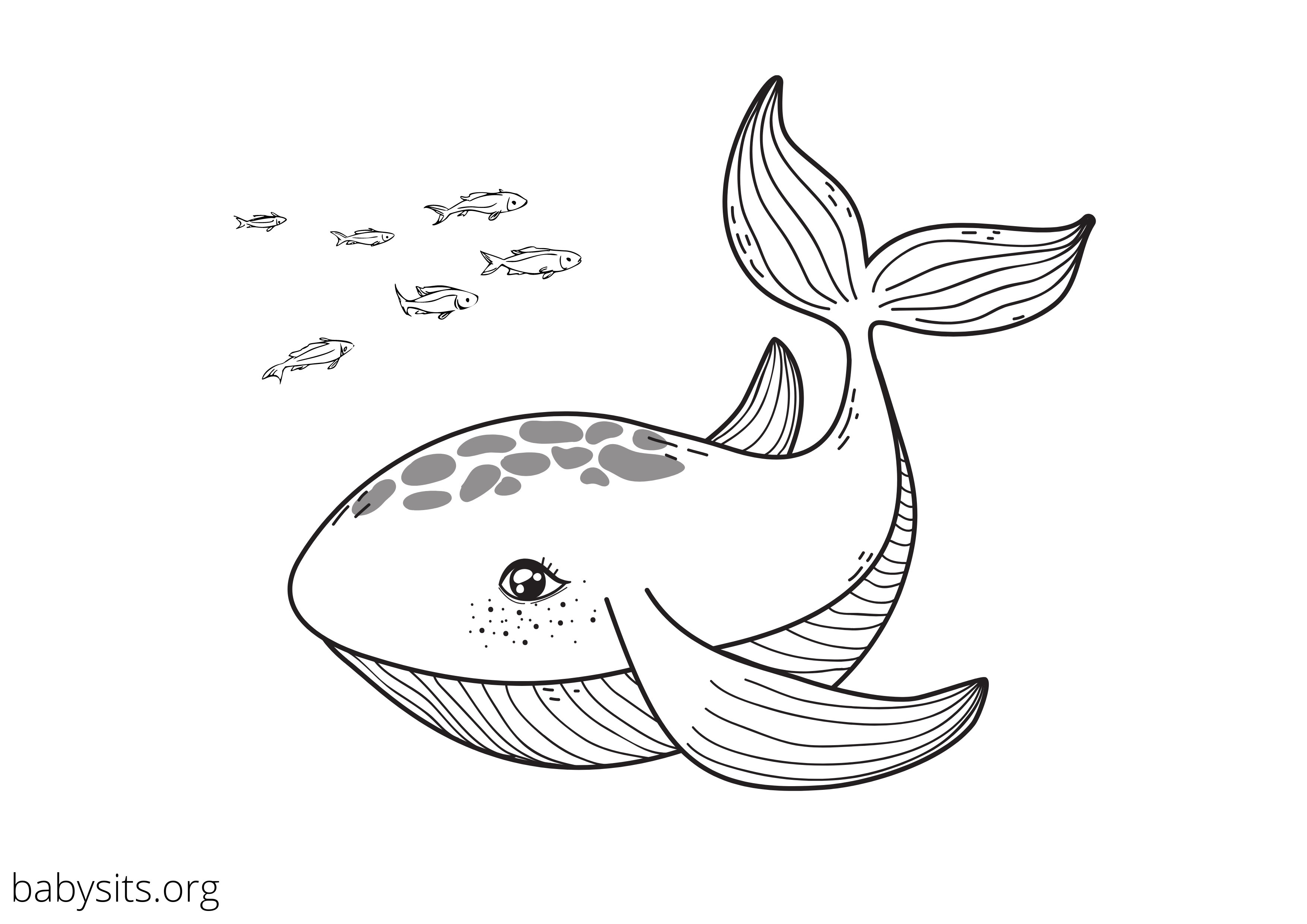 Free printable colouring pages of sea animals