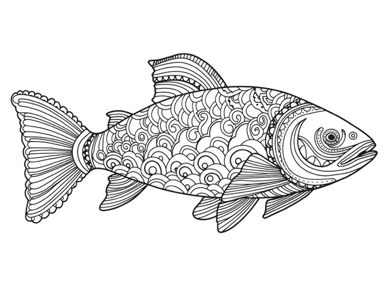 Sea animals printable coloring pages