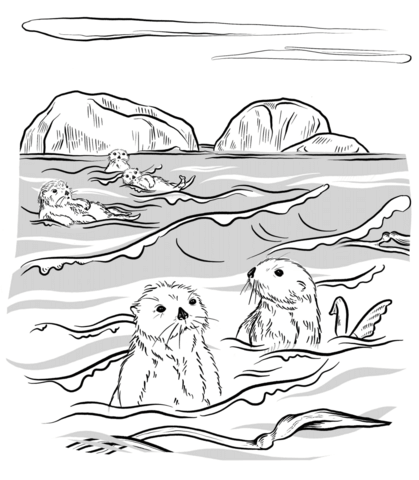 Sea otters coloring page free printable coloring pages