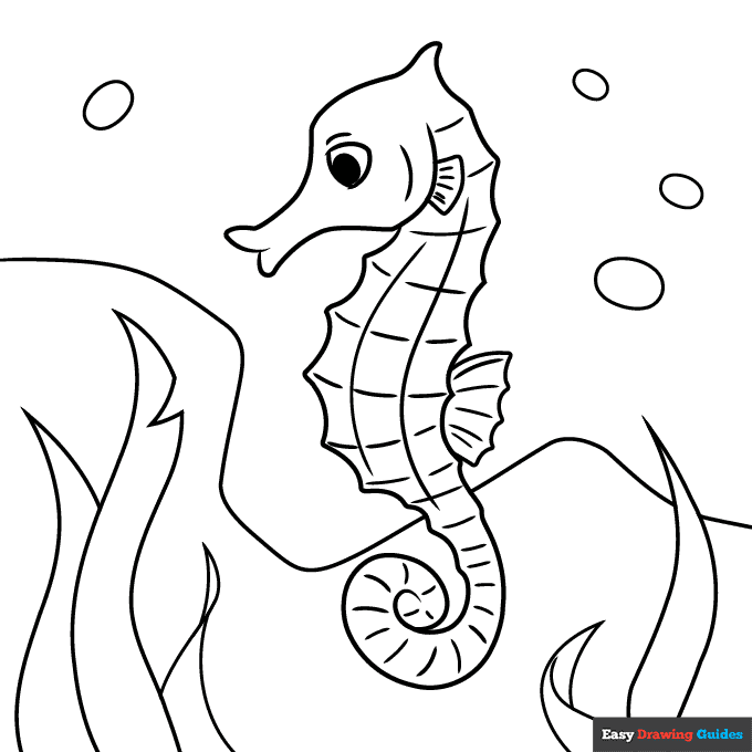 Seahorse coloring page easy drawing guides