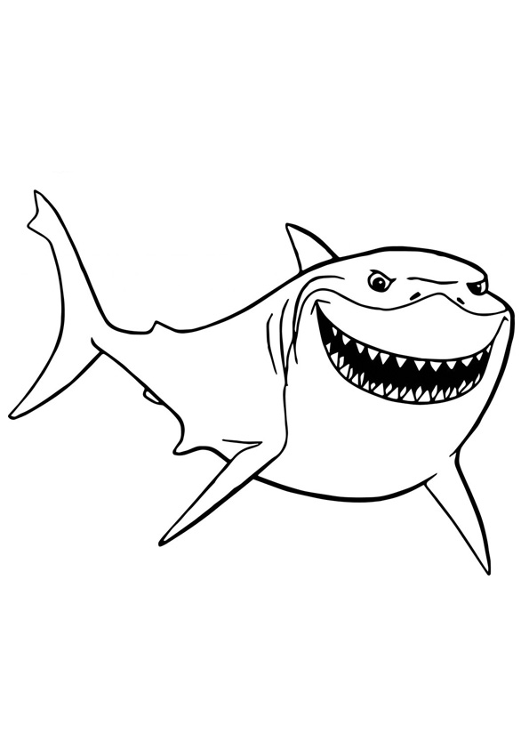 Coloring pages printable shark coloring sheet