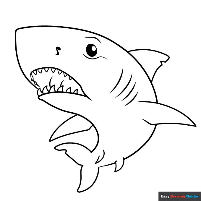 Great white shark coloring page easy drawing guides