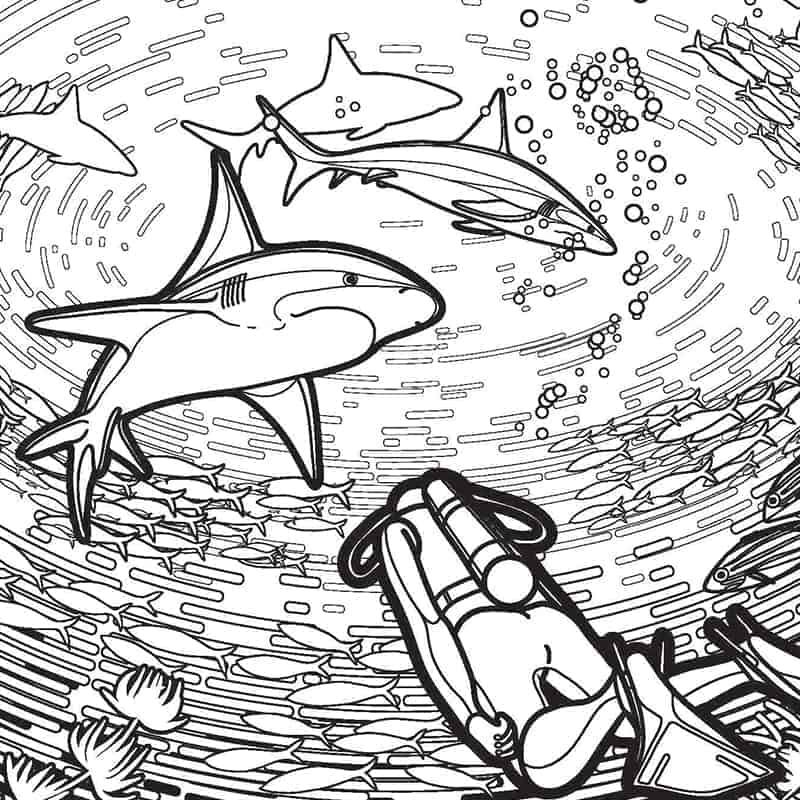 Free shark coloring pages for shark week and more