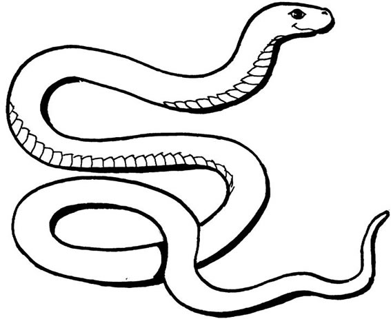 Free snake colouring pages for kids to download