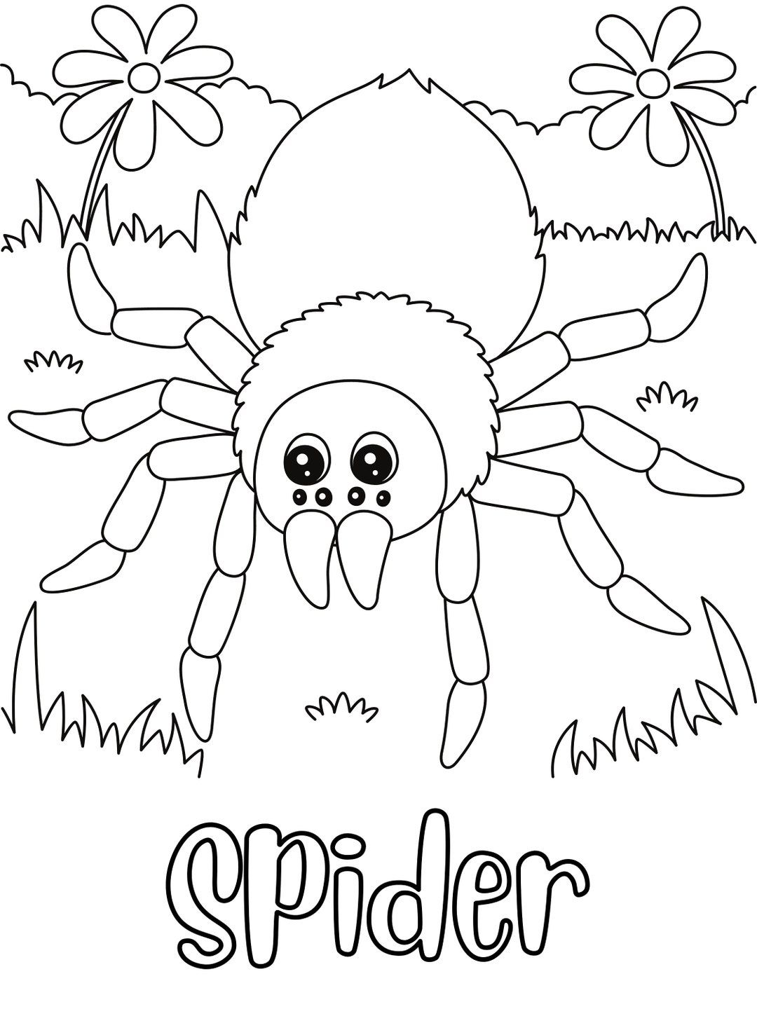 Spider coloring page digital download printable coloring page