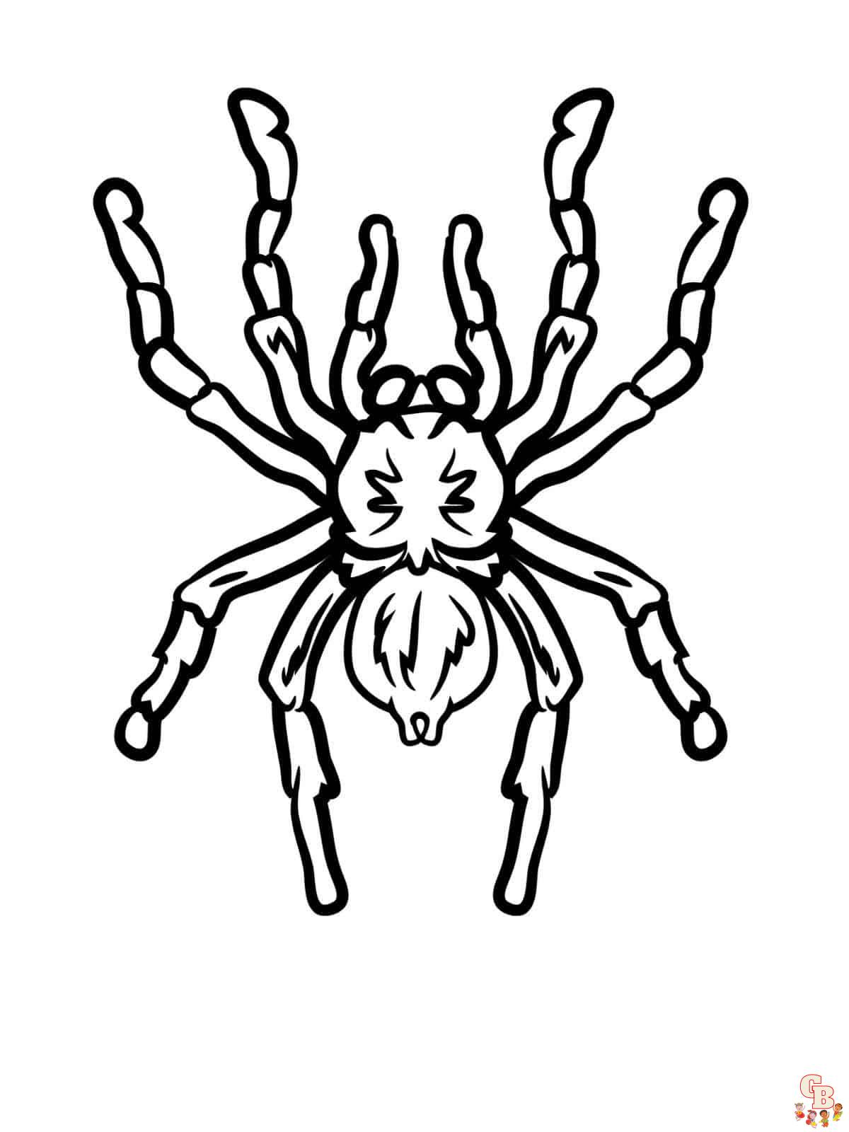 Unleash your childs creativity with spider coloring pages