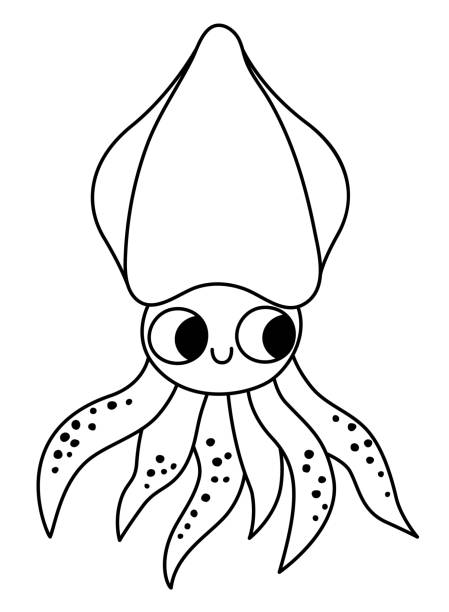 Vector black and white squid icon under the sea line illustration with cute funny calamari fish ocean animal clipart cartoon underwater or marine clip art or coloring page for children stock illustration