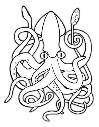 Squid coloring pages animal coloring pages coloring pages printable coloring pages