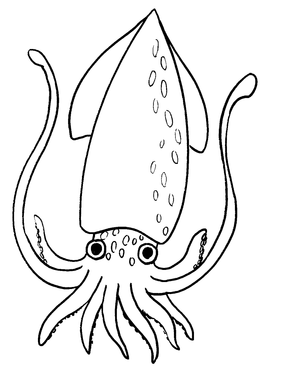 Squid coloring pages printable for free download