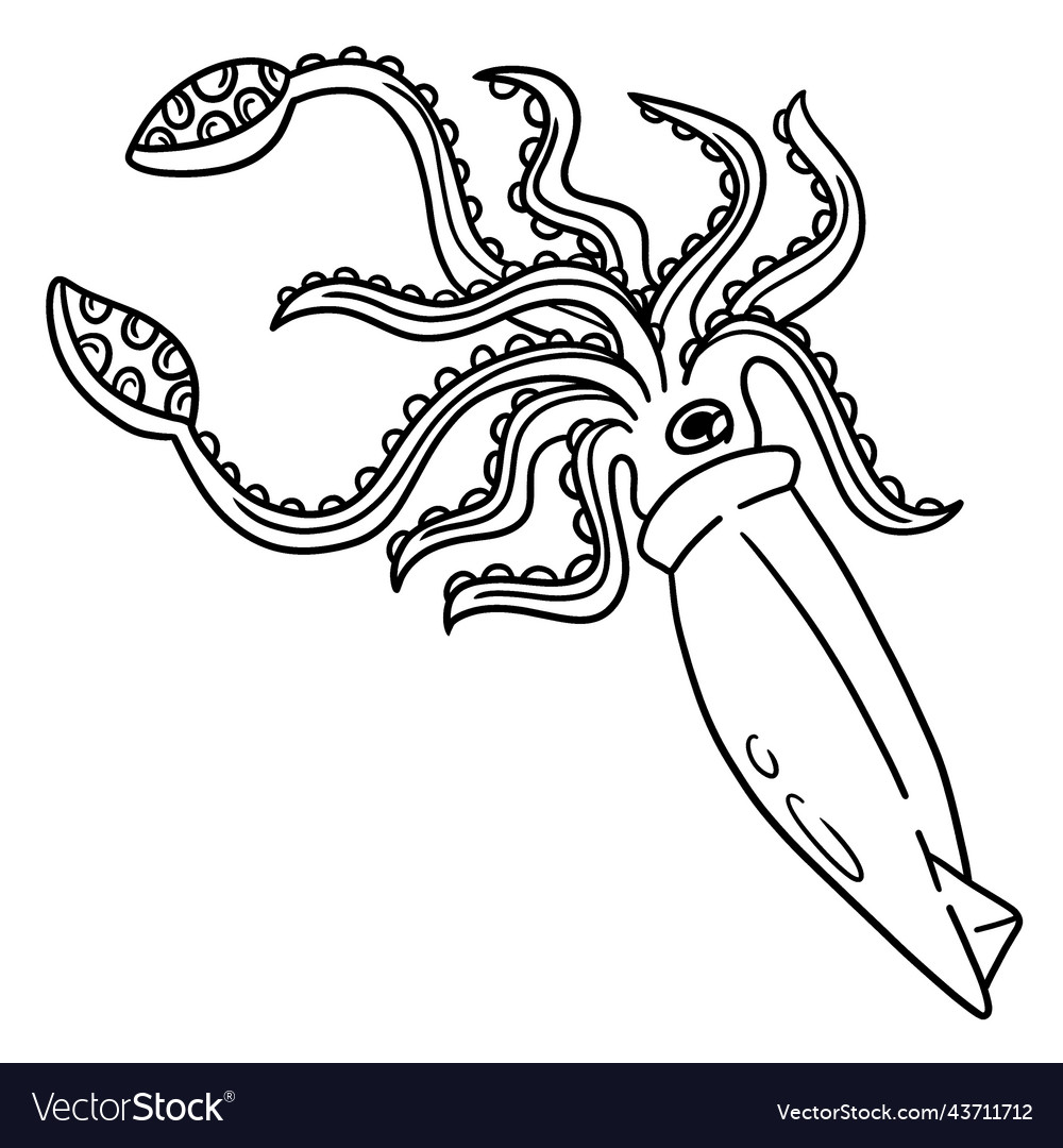 Giant squid coloring page for kids royalty free vector image