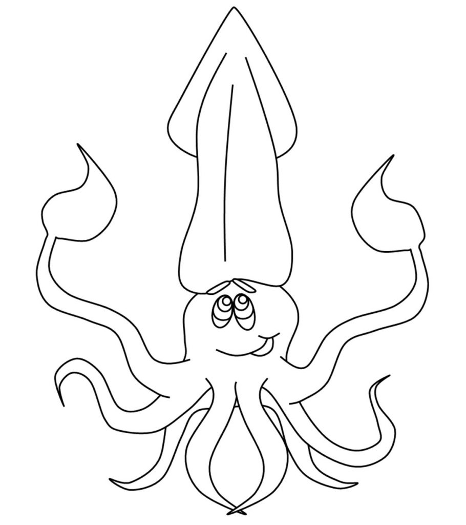 Top free printable squid coloring pages online