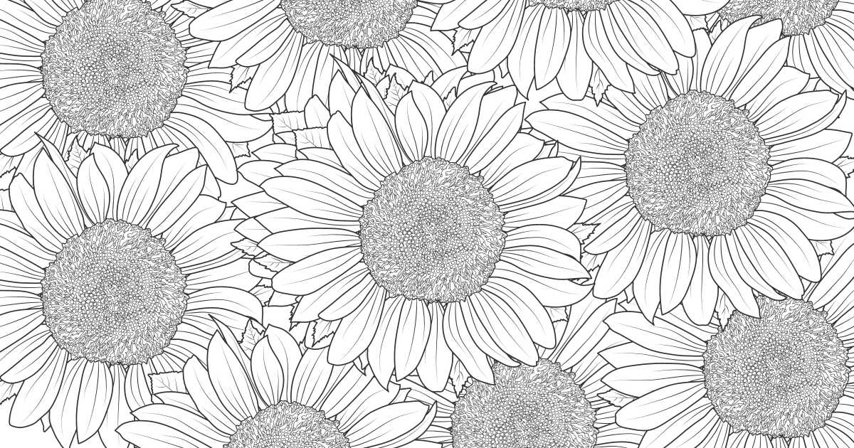 Free printable sunflower coloring page