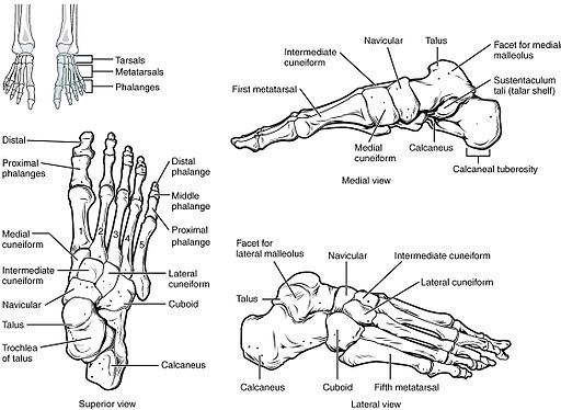 Keys to your foot health