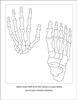 Human anatomy coloring book with facts coloring activities with facts about the human body rockridge press ni christy books