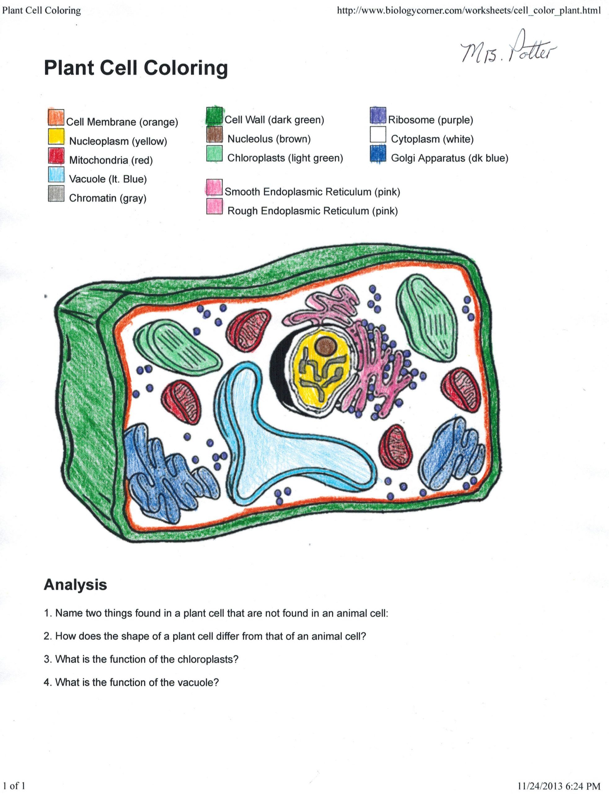 Animal and plant cells worksheet animal and plant cell worksheet answer key worksheet plant cells worksheet cells worksheet animal cells worksheet