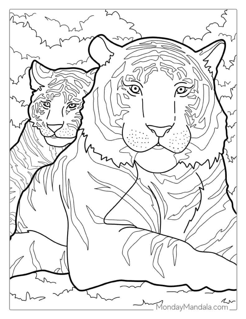 Tiger coloring pages free pdf printables