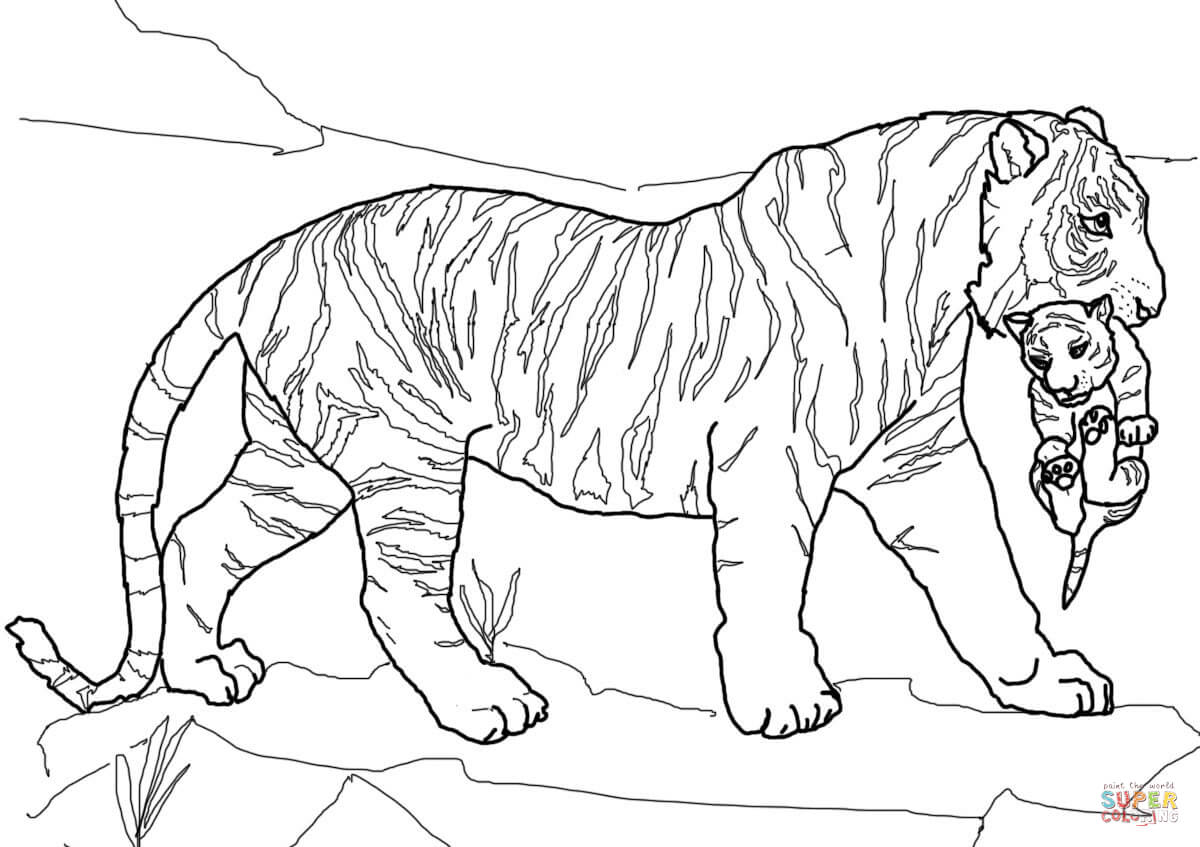 Mother tiger carrying cub coloring page free printable coloring pages