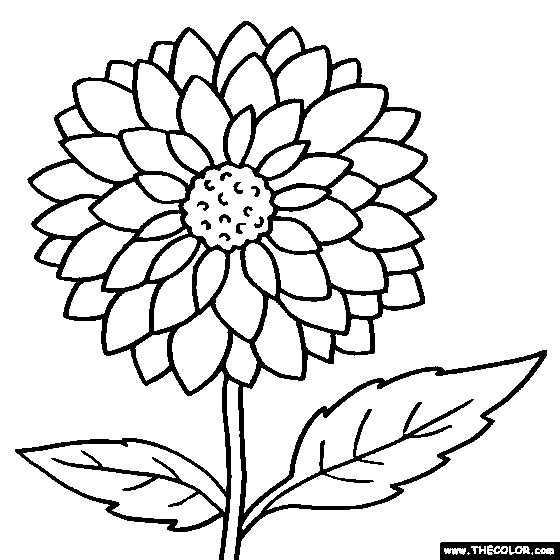 Dahlia flower online coloring page flower coloring sheets flower coloring pages coloring pages