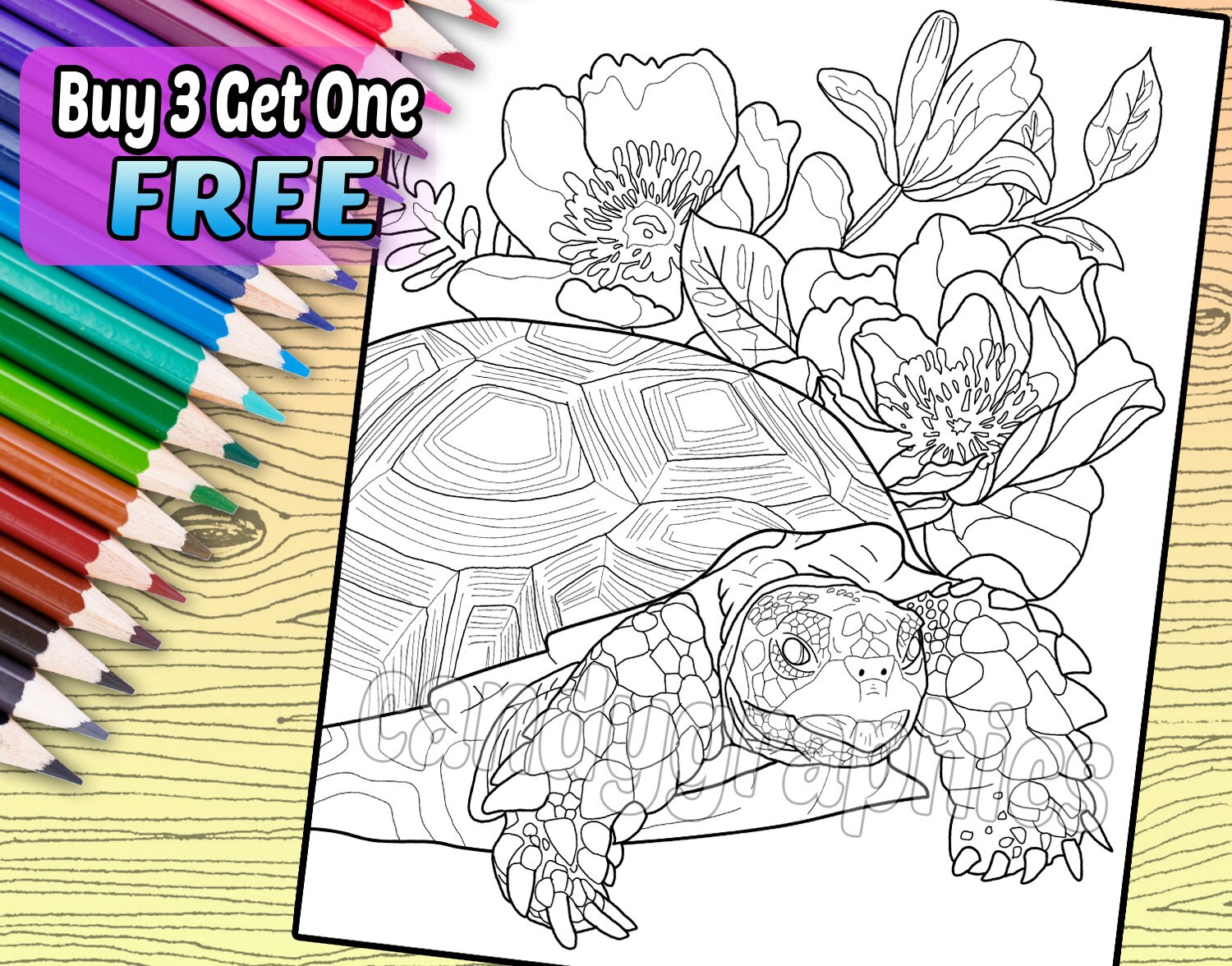 Tortoise and flowers adult coloring book page printable