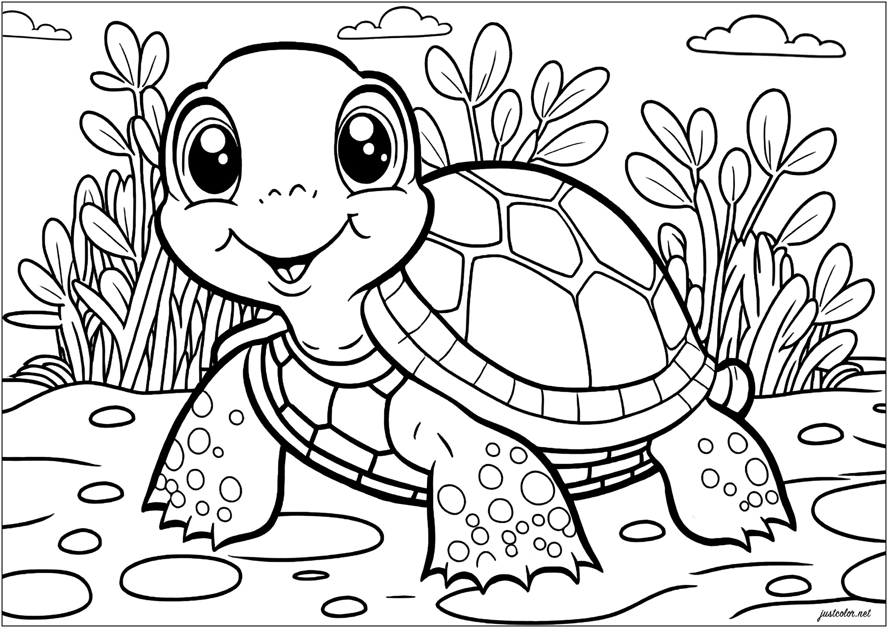 Coloring a cute turtle