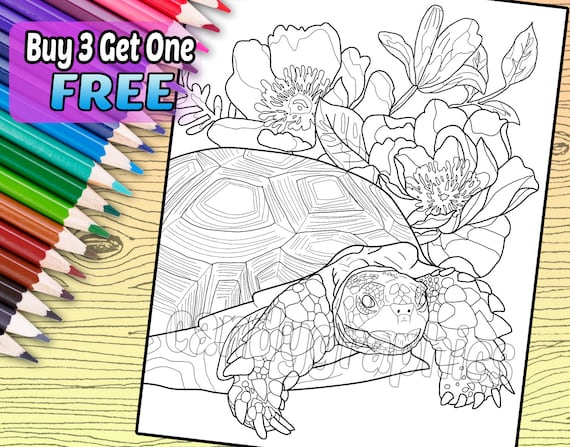 Tortoise and flowers adult coloring book page printable instant download